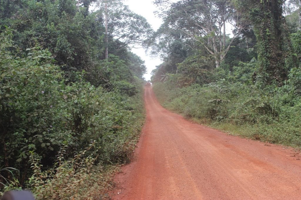 Primarily constructed to facilitate transportation of wood, logging roads in the Congo Basin pose several threats to biodiversity, conservation, and local livelihoods. Photo credit/InfoCongo