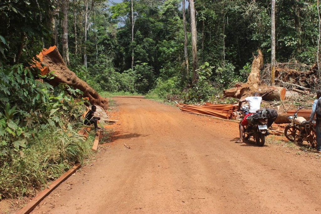 “We do not need these roads, as we do not see any benefits to our community other than to the logging companies and poachers," spokesperson for Baka Pygmies