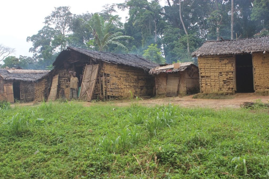 About 1000 Baka, Bakoya Pygmies, and many other Bantu tribes leave in Ngoyla village located in the East Region of Cameroon