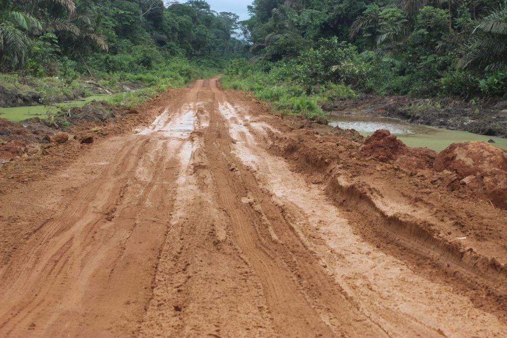 Road construction does not only promote poaching but also makes monitoring harder