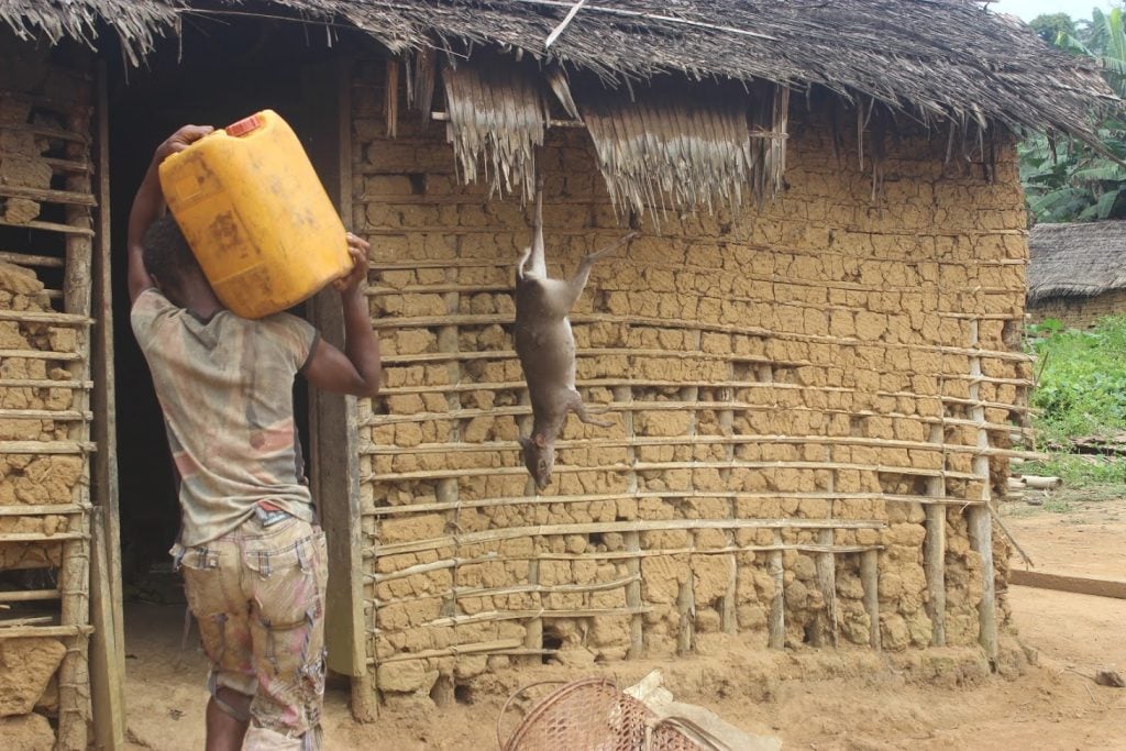 The people of Ngoyla live primarily on bush meat