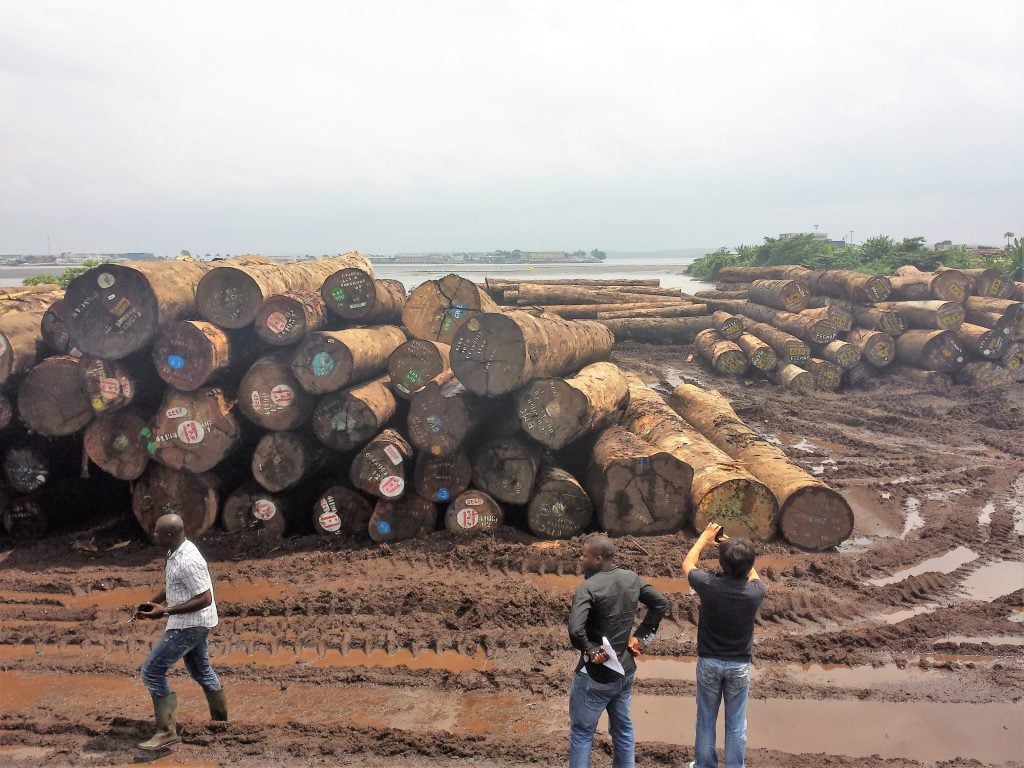 Logs at Douala port waiting to be shipped abroad. Photo Credit: Nforngwa/Africa Assignments