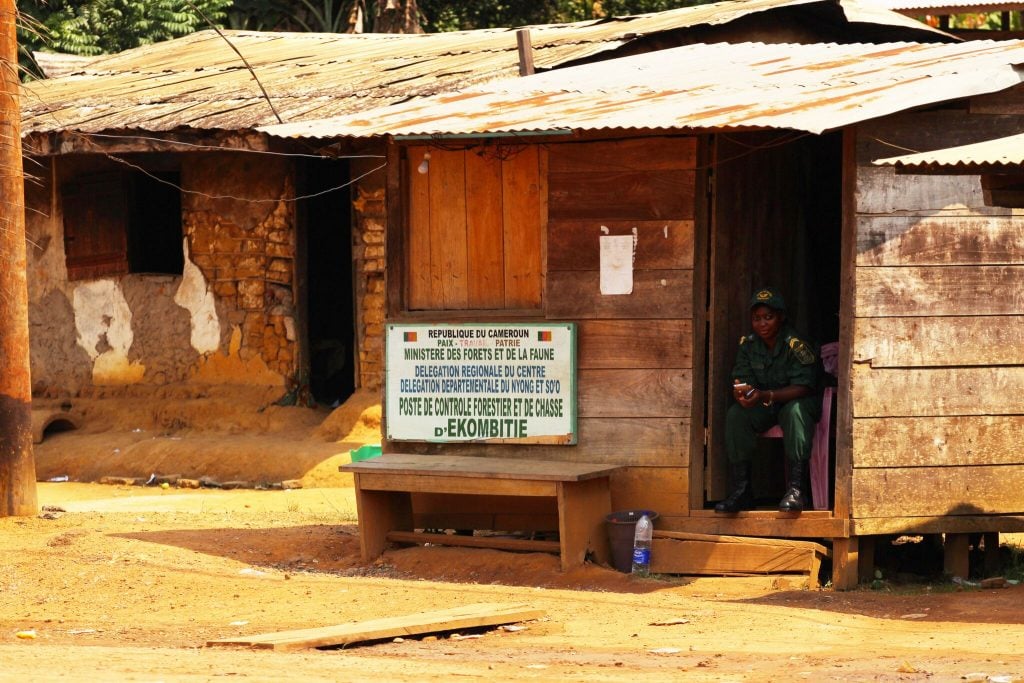 A forestry and wildlife control post in southern Cameroon. Photo credit: Nforngwa/Africa Assignments 