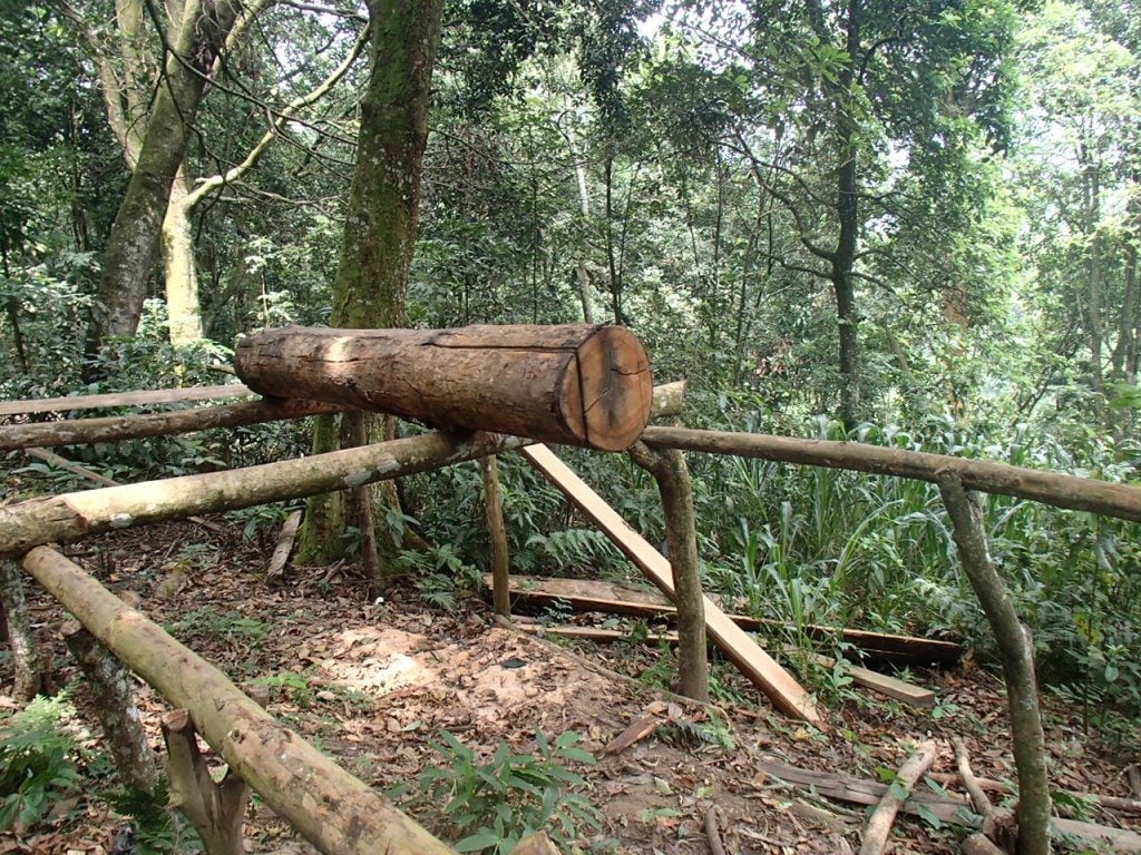 Un poste à sciage des bois en planches installé dans la réserve 
