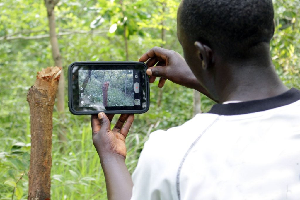 In the Congo Basin Forest region deforestation often occurs in remote areas far from view, making monitoring and protecting these places difficult even for those working on the ground. Photo credit/Jane Goodall Institute