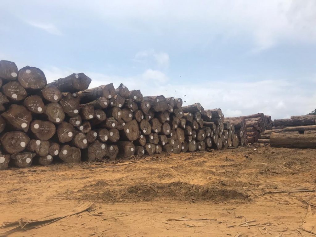 L’Afrique Centrale a totalisé 42% des exportations de bois sous forme de grume de l’Afrique vers la Chine entre janvier 2014 et mars 2018. Photo/EIA