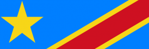 Flag of the Democratic Republic of Congo, photo by UNFCCC