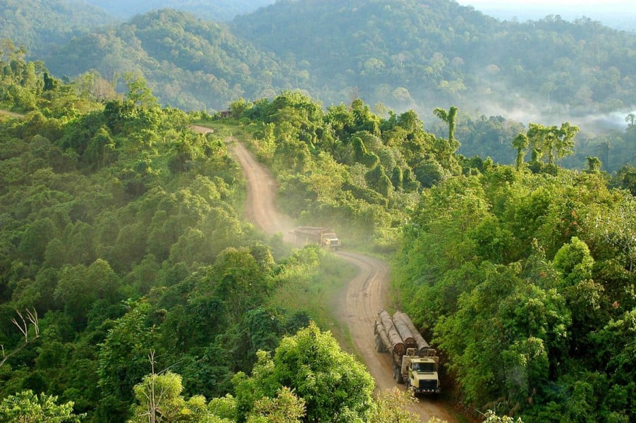 Trucks carrying logs in Gunung Lumut, East Kalimantan, Indonesia. Photo by Jan van der Ploeg for Center for International Forestry Research (CIFOR).