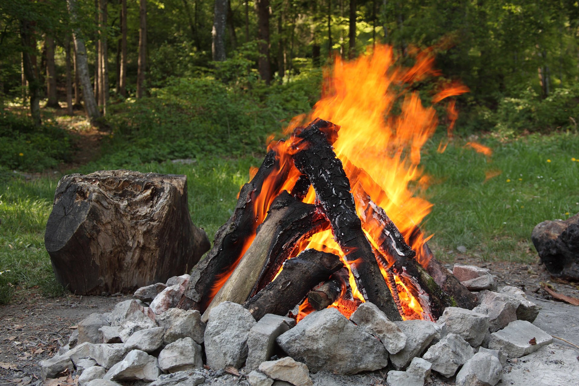 Le Feu De Bois Source D Electricite