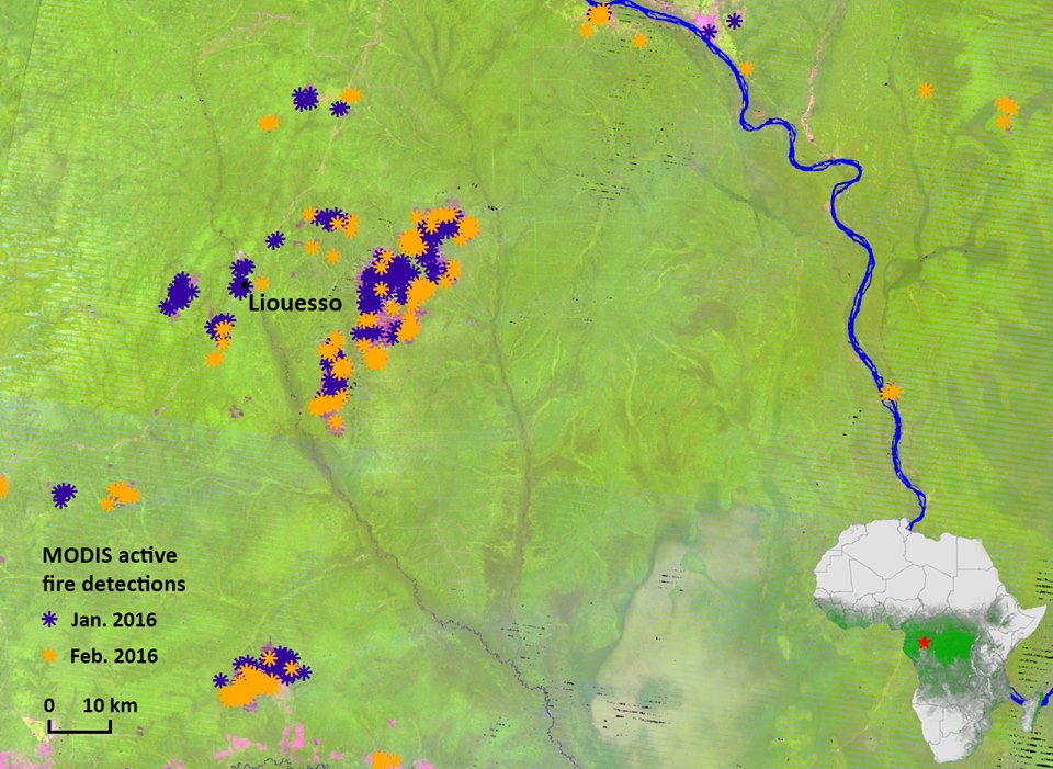 Détections d'incendie actifs de MODIS satellite (MODIS NRT C6) près de Liouesso, République du Congo, janvier - 2016. Source février: NASA .