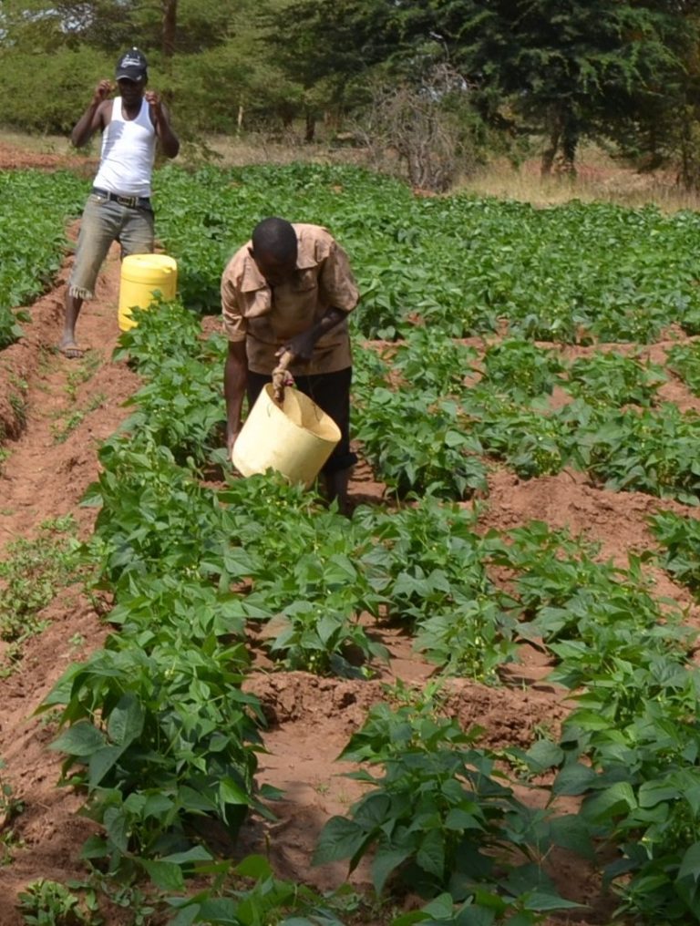 How Cameroon Farmers Are Coping with Drought