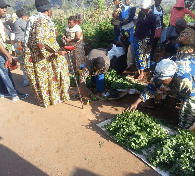 Women sell vegetable at roadside market near a vegetable   farm in Santa, BamendaCameroon.