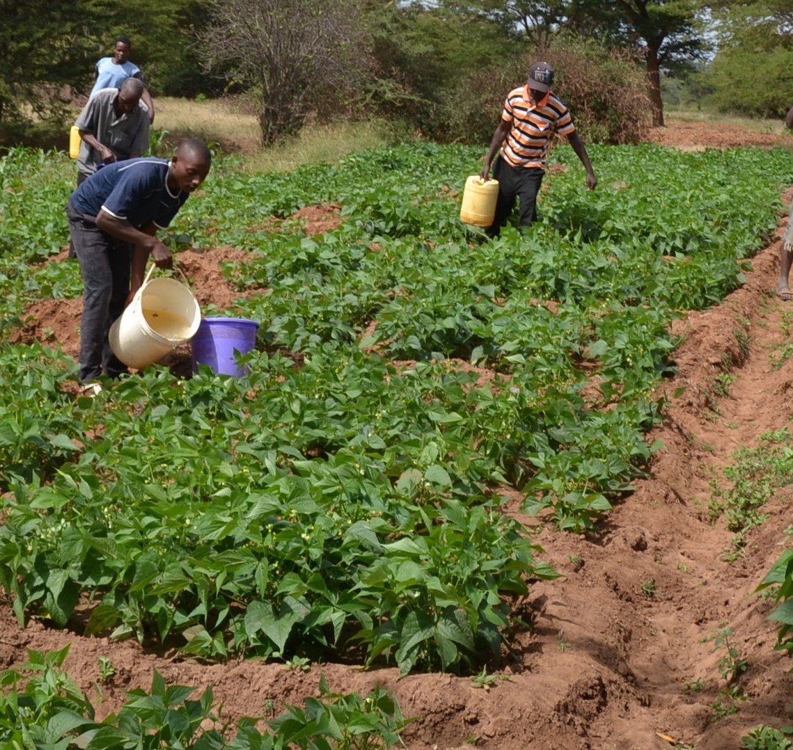 how-cameroon-farmers-are-coping-with-drought