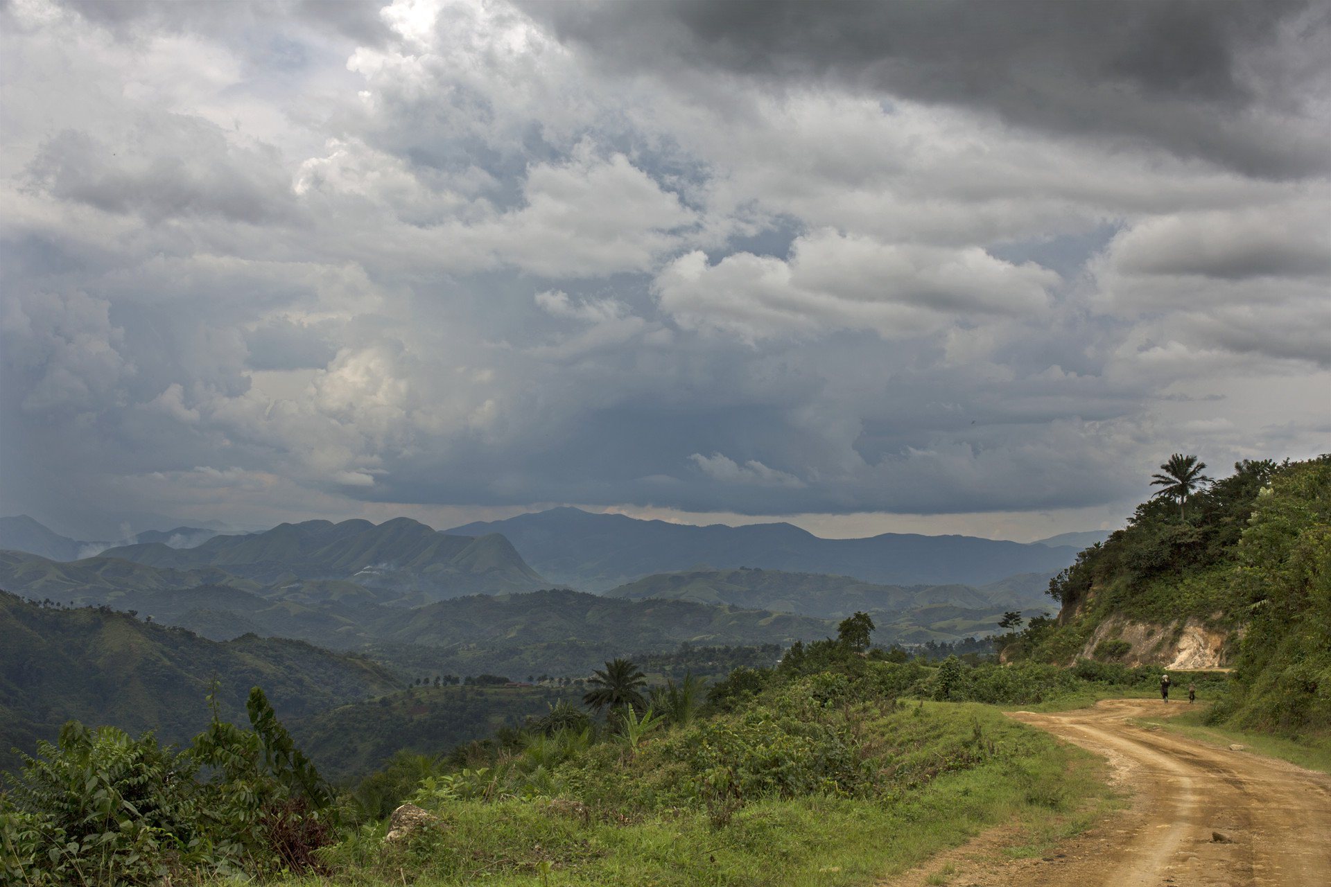 major-congo-basin-forest-conference-underway-in-rwanda-infocongo