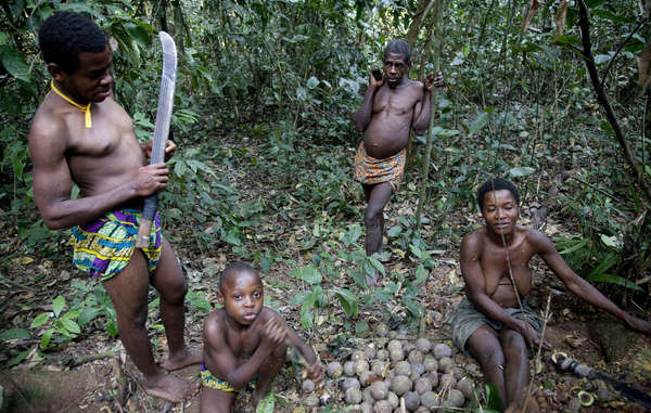 The Baka use the Cameroonian rainforest for food, medicine, and religious rituals. They are now excluded from it by force. © Selcen Kucukustel/Atlas