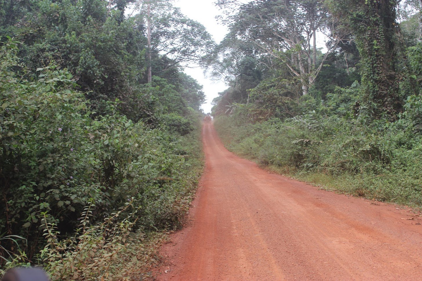 Mapping the Effects of Guns, Snares and Bulldozers on Biodiversity