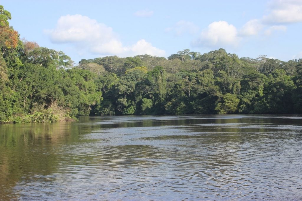 La gestion durable des ressources forestières a été périlleuse dans de nombreux pays du bassin du Congo. Photo / InfoCongo