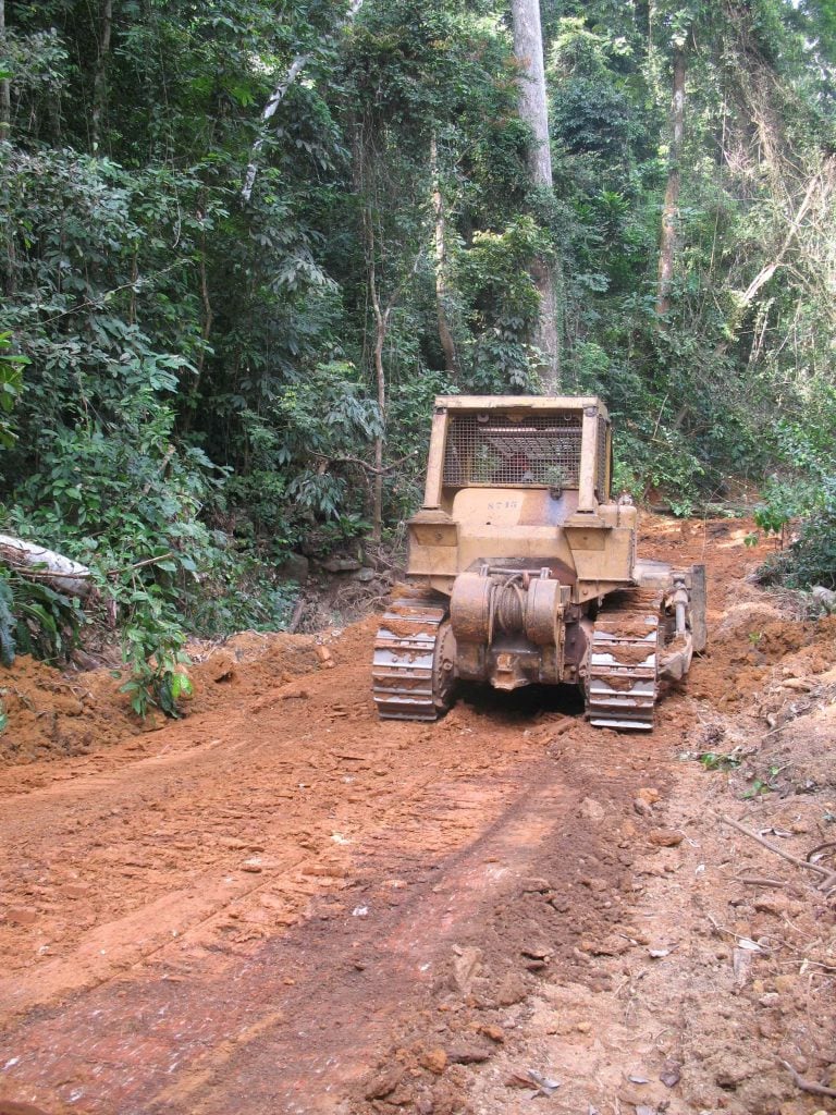 Terrassement de la route au sein d'une unité forestière d'aménagement pour le transport des billes de bois