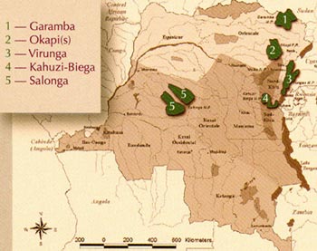 Les patrimoines mondiaux de l'UNESCO en RDC dont les Virunga et la Salonga
