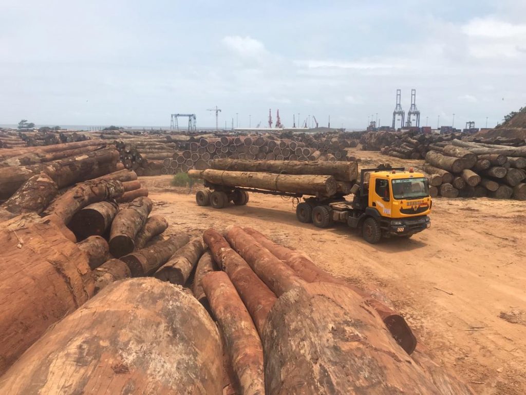 Selon Environmental Investigation Agency, certains importateurs dont le principal marché est la Chine violent l’interdiction totale ou partielle d’exportation de bois sous forme de grume en vigueur dans plusieurs pays Africains. Photo/ EIA