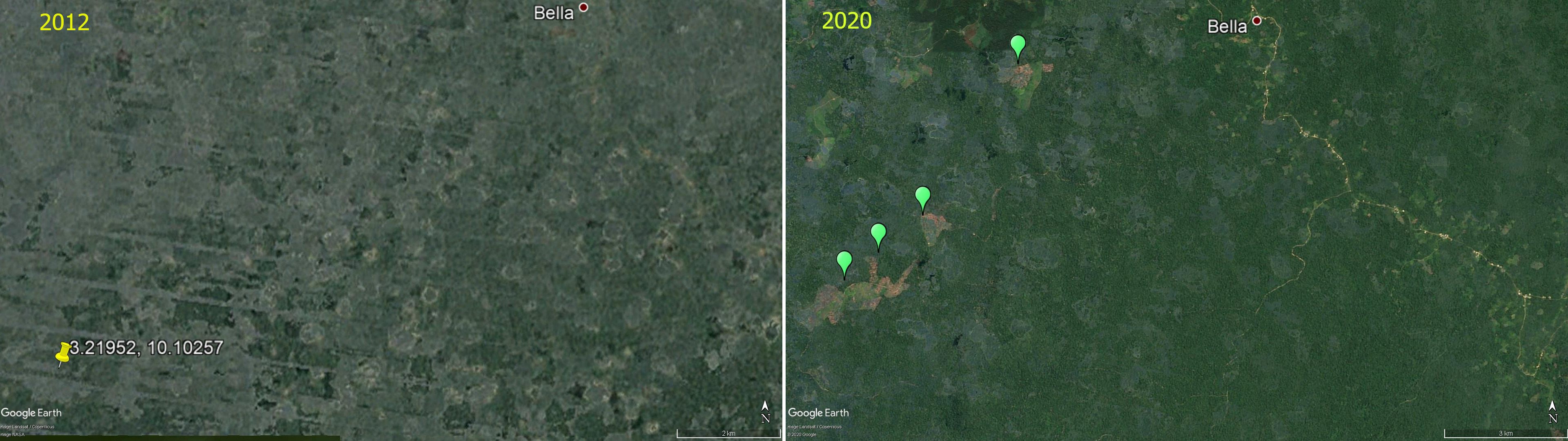 Aperçu satellitaire de la forêt des Bagyeli en 2012 et 2020