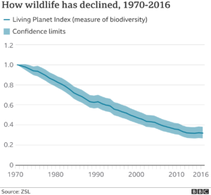 Wildlife In 'catastrophic Decline' Due To Human Destruction, Scientists ...