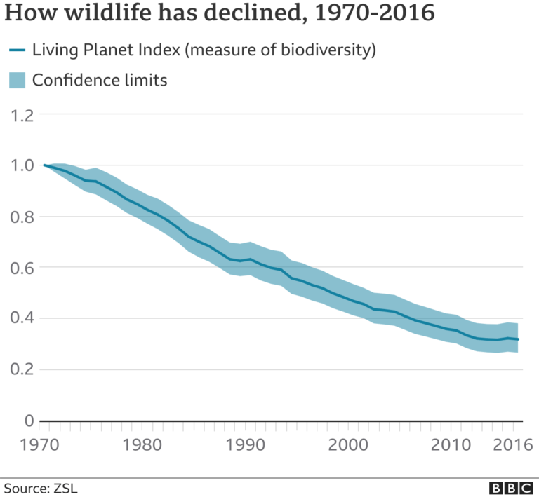 wildlife-in-catastrophic-decline-due-to-human-destruction-scientists