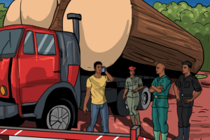 Truck driver carrying Illegal wood at forest check-point