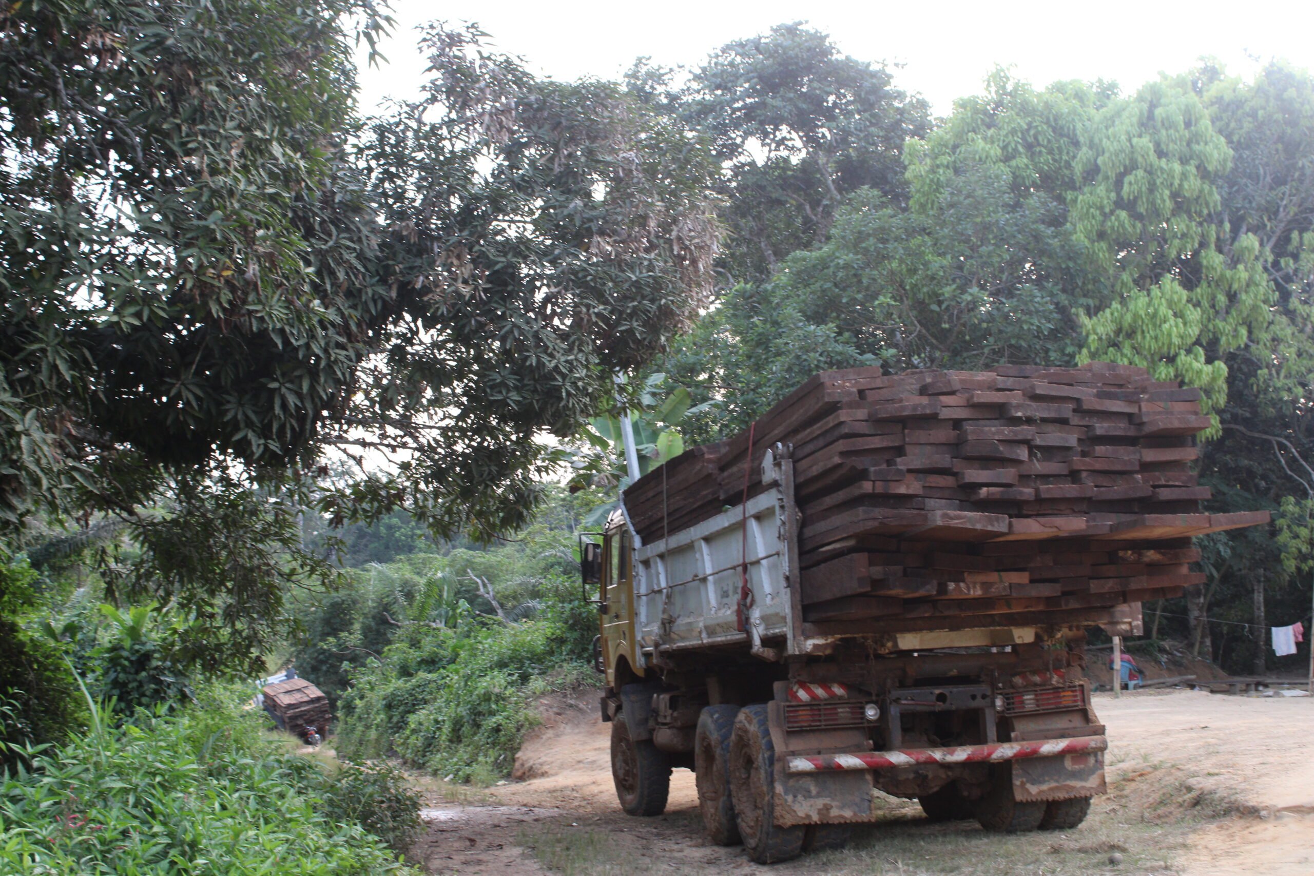 Nkollo, December 2023. A truck, filled with sawn wood. Image by Jeannot Ema'a/InfoCongo 