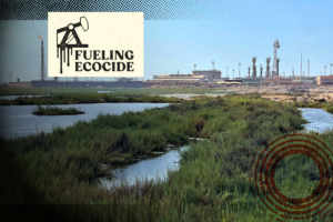 Fueling ecocide
